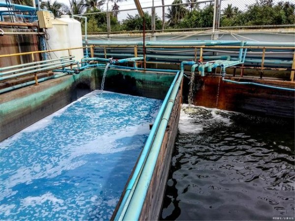 紙箱廠水性油墨廢水處理工藝方案